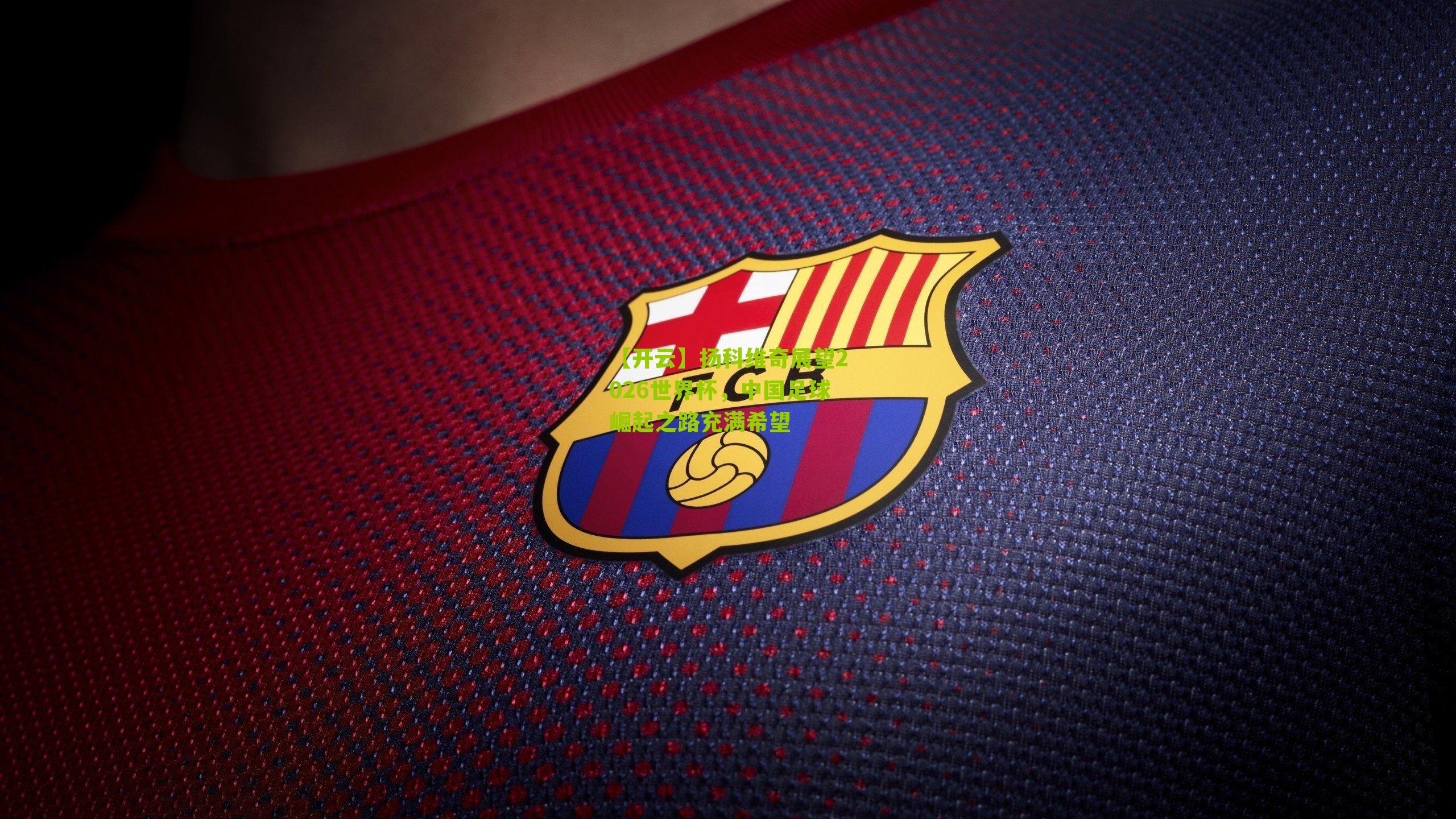 扬科维奇展望2026世界杯，中国足球崛起之路充满希望